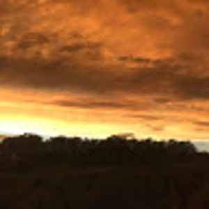 Meet your Posher, Claire